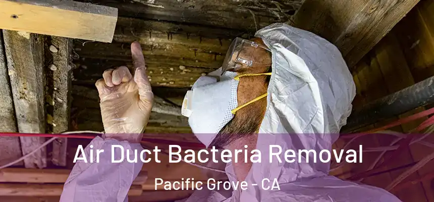  Air Duct Bacteria Removal Pacific Grove - CA
