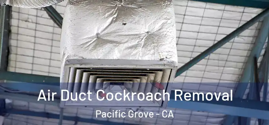 Air Duct Cockroach Removal Pacific Grove - CA