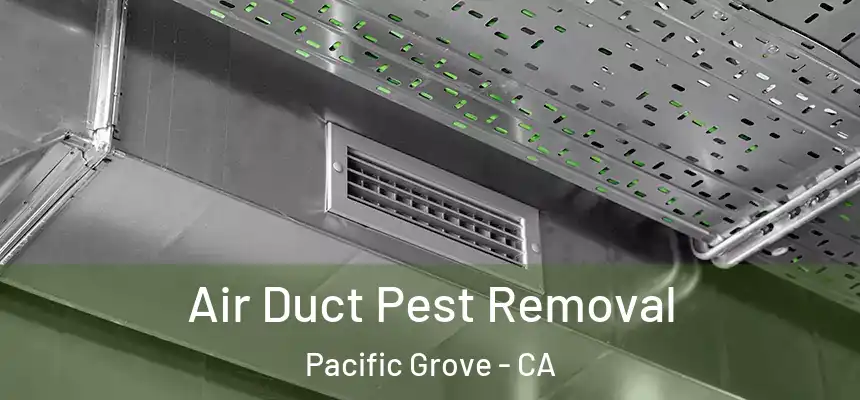  Air Duct Pest Removal Pacific Grove - CA