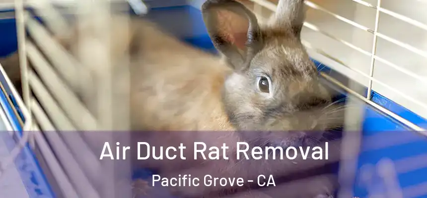  Air Duct Rat Removal Pacific Grove - CA