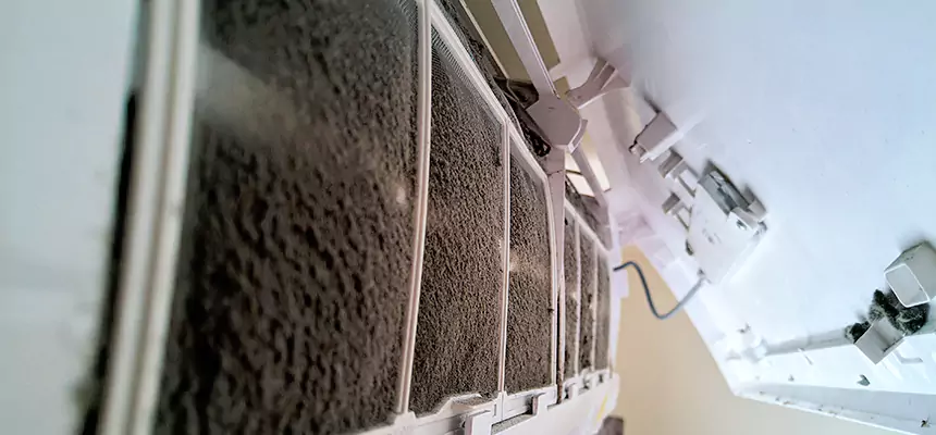 Preventive Air Duct Bacteria Removal in Pacific Grove