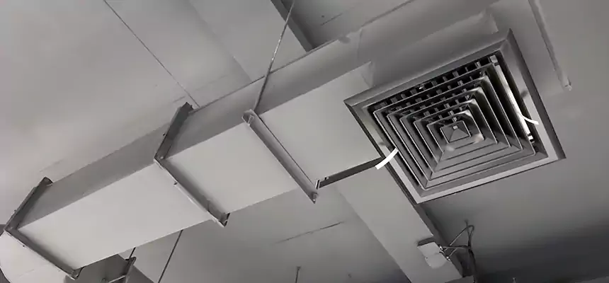 Our Pest Removal From Ducts Services in Pacific Grove, CA