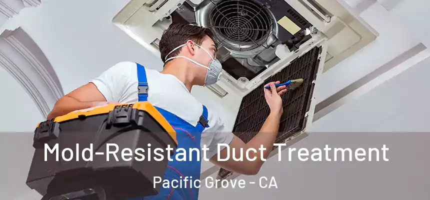 Mold-Resistant Duct Treatment Pacific Grove - CA