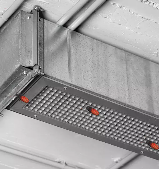 About Air Duct Cockroach Removal in Pacific Grove, CA
