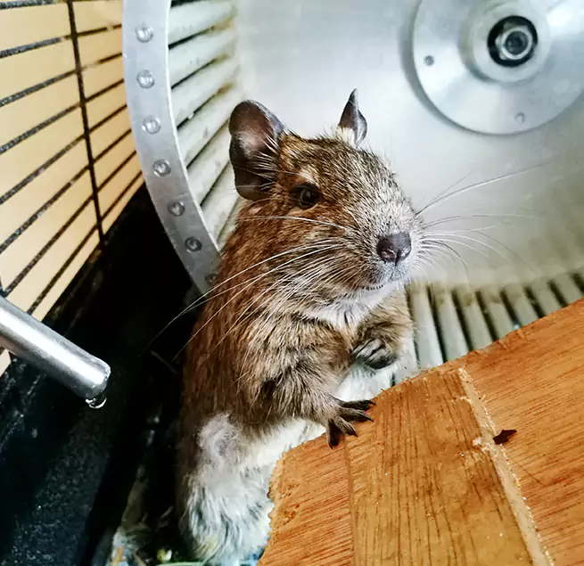 Why Homeowners & Businesses Trust Us Pacific Grove, CA?