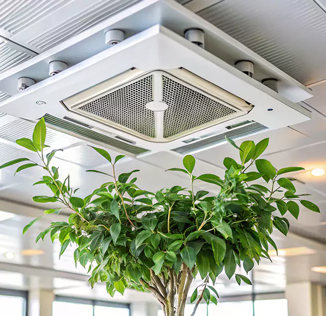 Why Homeowners & Businesses Trust Us in Pacific Grove, CA?