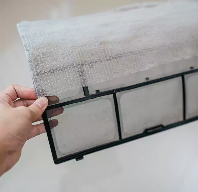 Why Homeowners & Businesses Trust Us in Pacific Grove, CA?