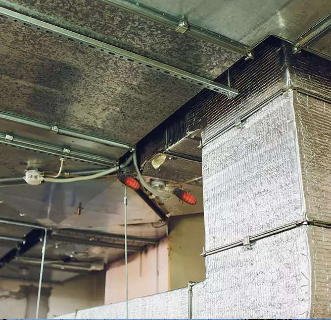 Why Homeowners & Businesses Trust Us Pacific Grove, CA?