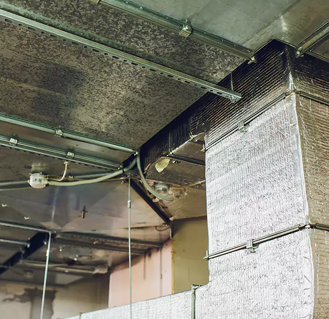 Why Homeowners & Businesses Trust Us in Pacific Grove, CA?