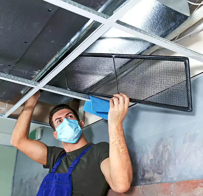 Why Homeowners Businesses Trust Us in Pacific Grove, CA